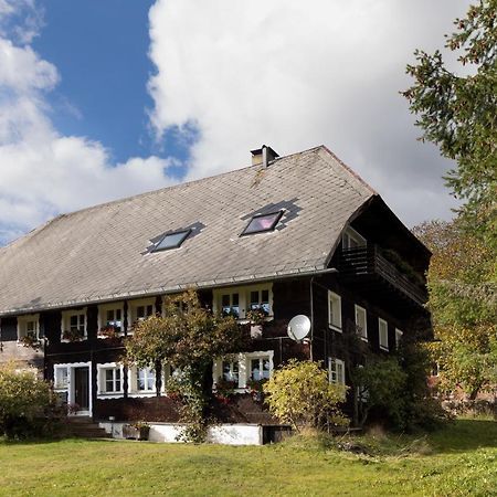Villa WÄLDER: Quartier Dachsberg Dachsberg im Schwarzwald Exterior foto
